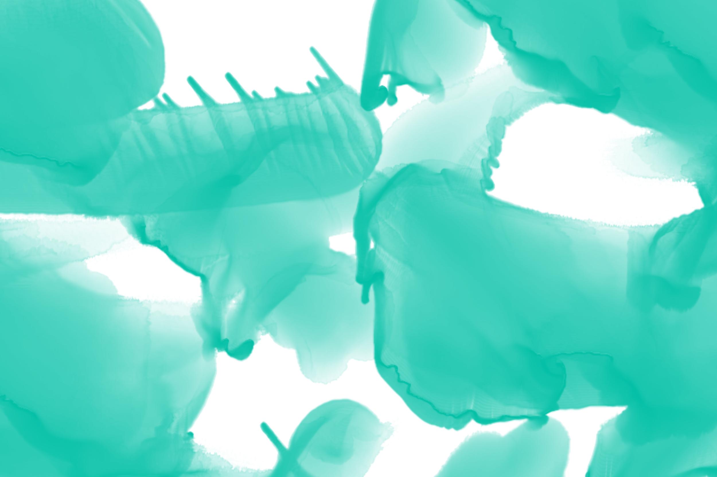 Colorful Watercolor Transparent