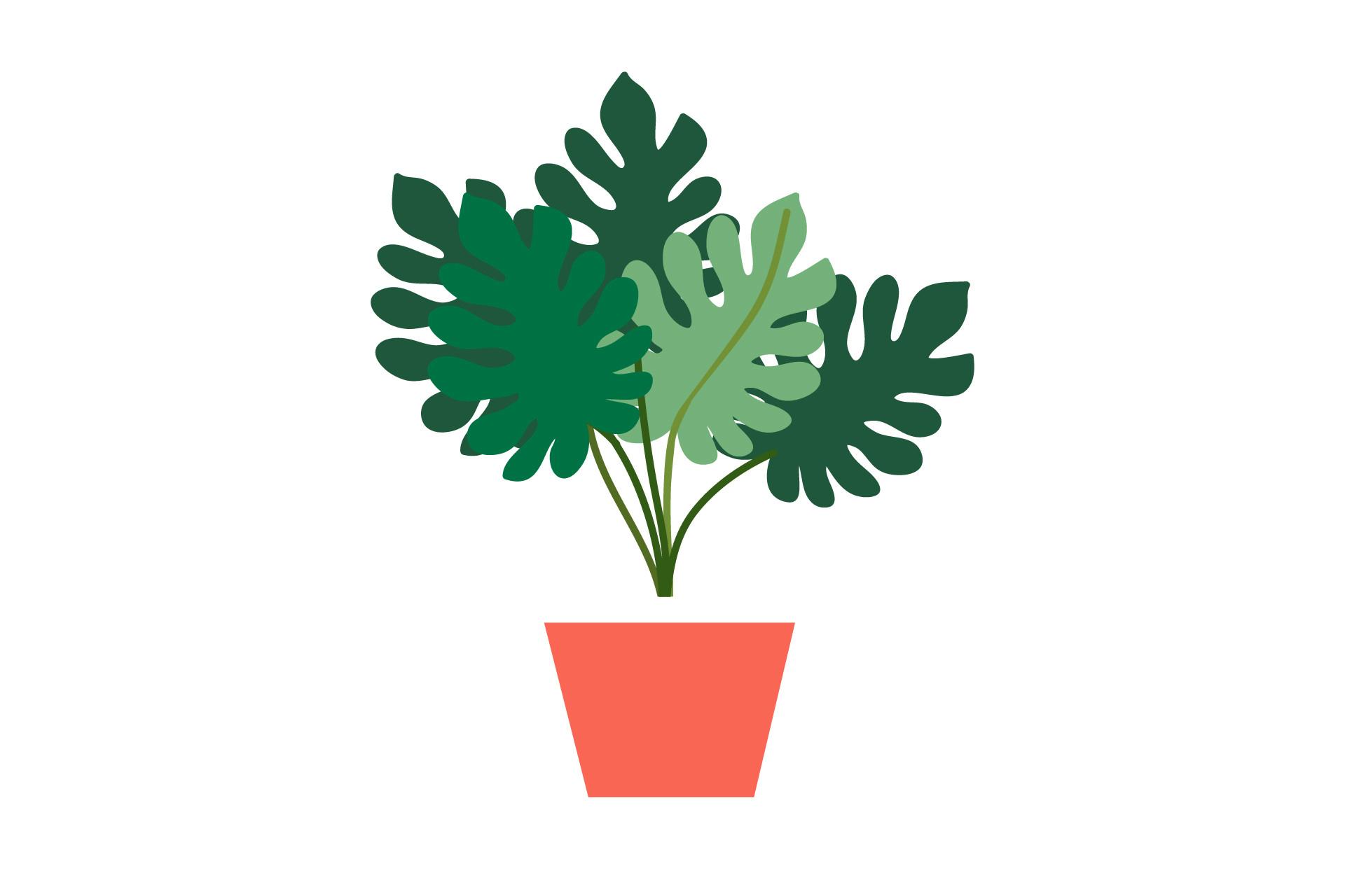 Plant Botany Garden