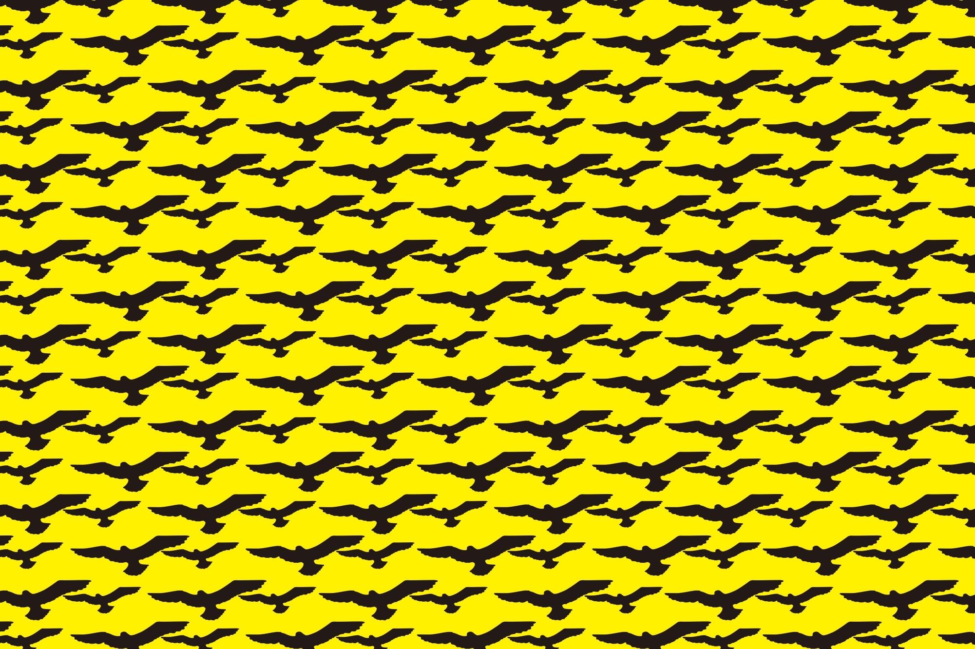 Bird Silhouette Pattern