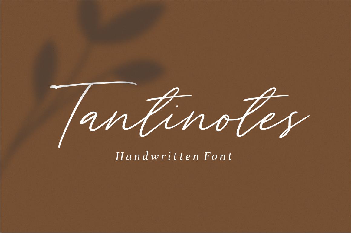 Tantinotes Font