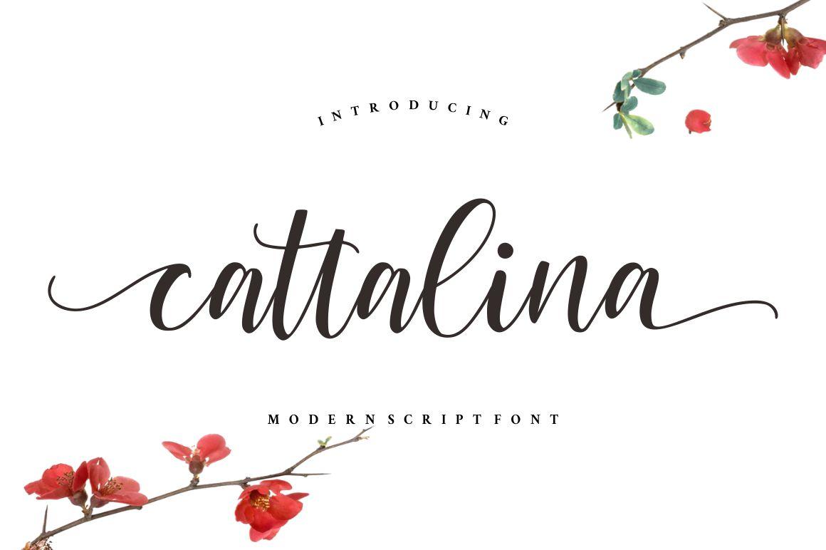 Cattalina Font