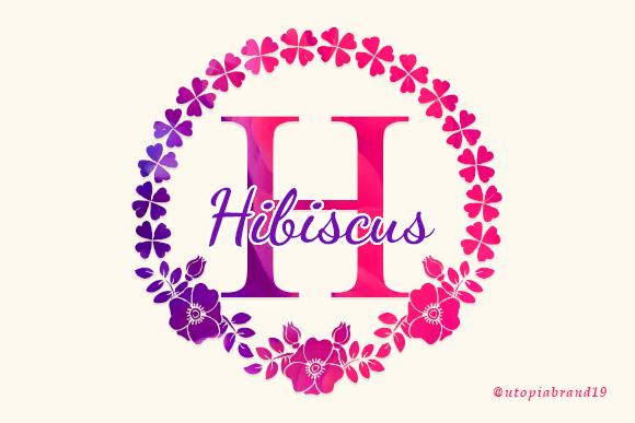 Hibiscus Monogram Font