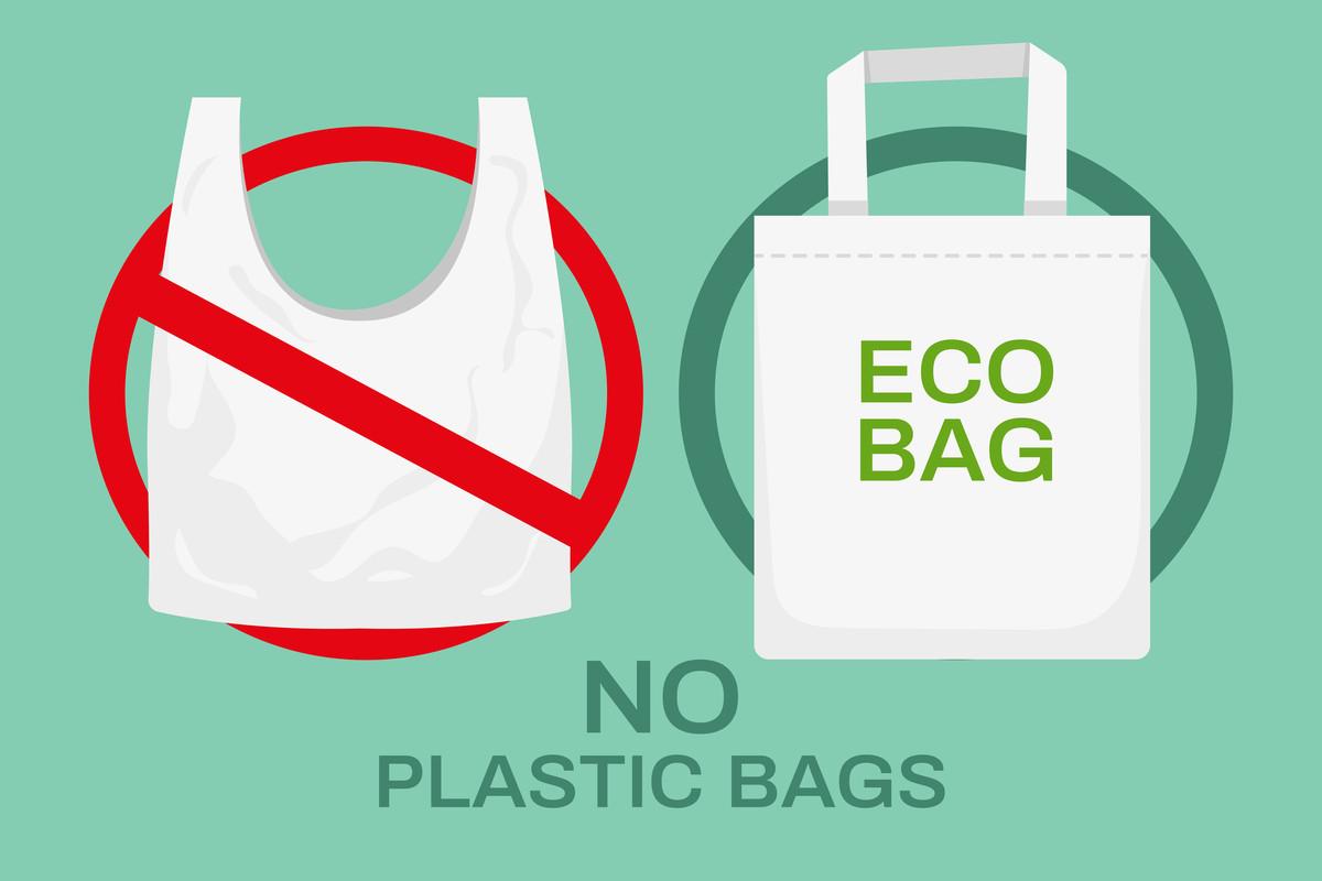 Plastic or Textile Bags