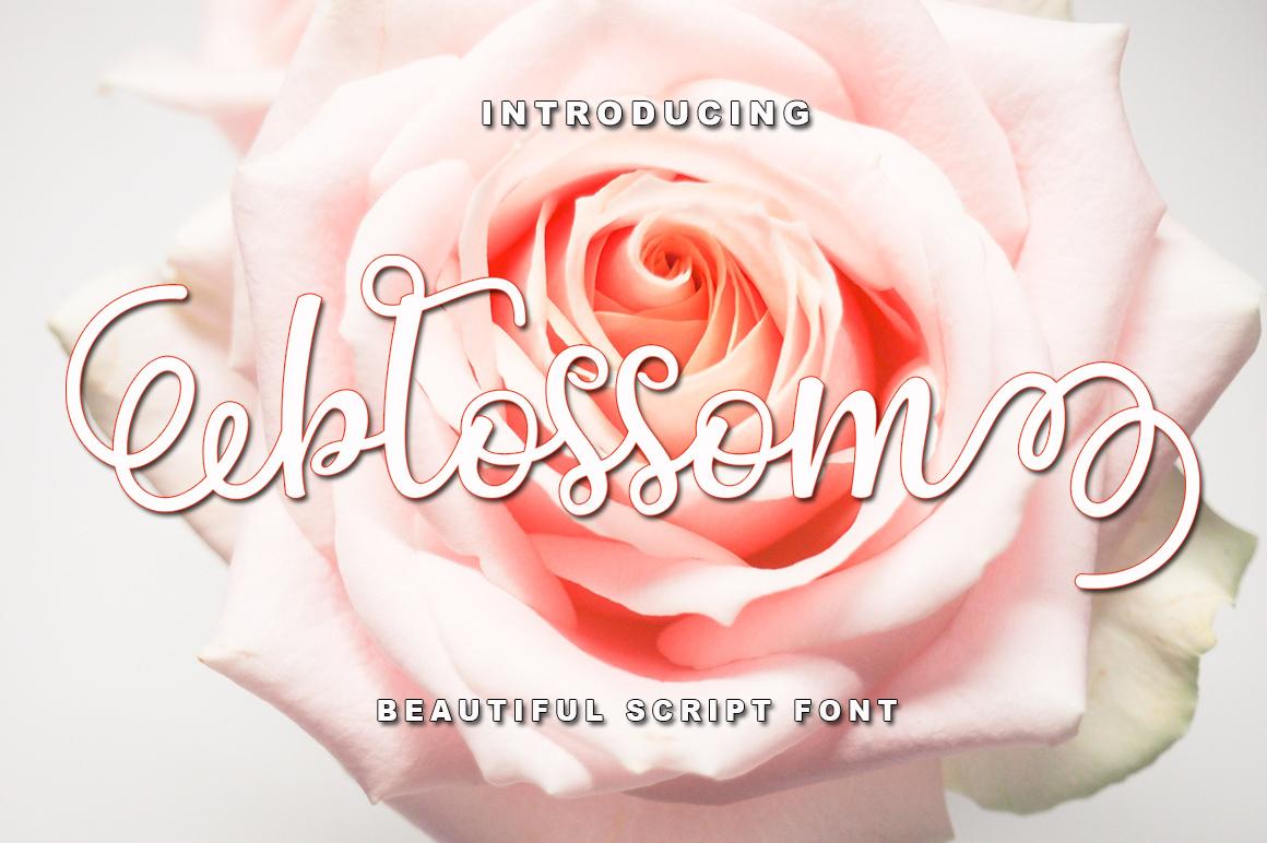 Blossom Font