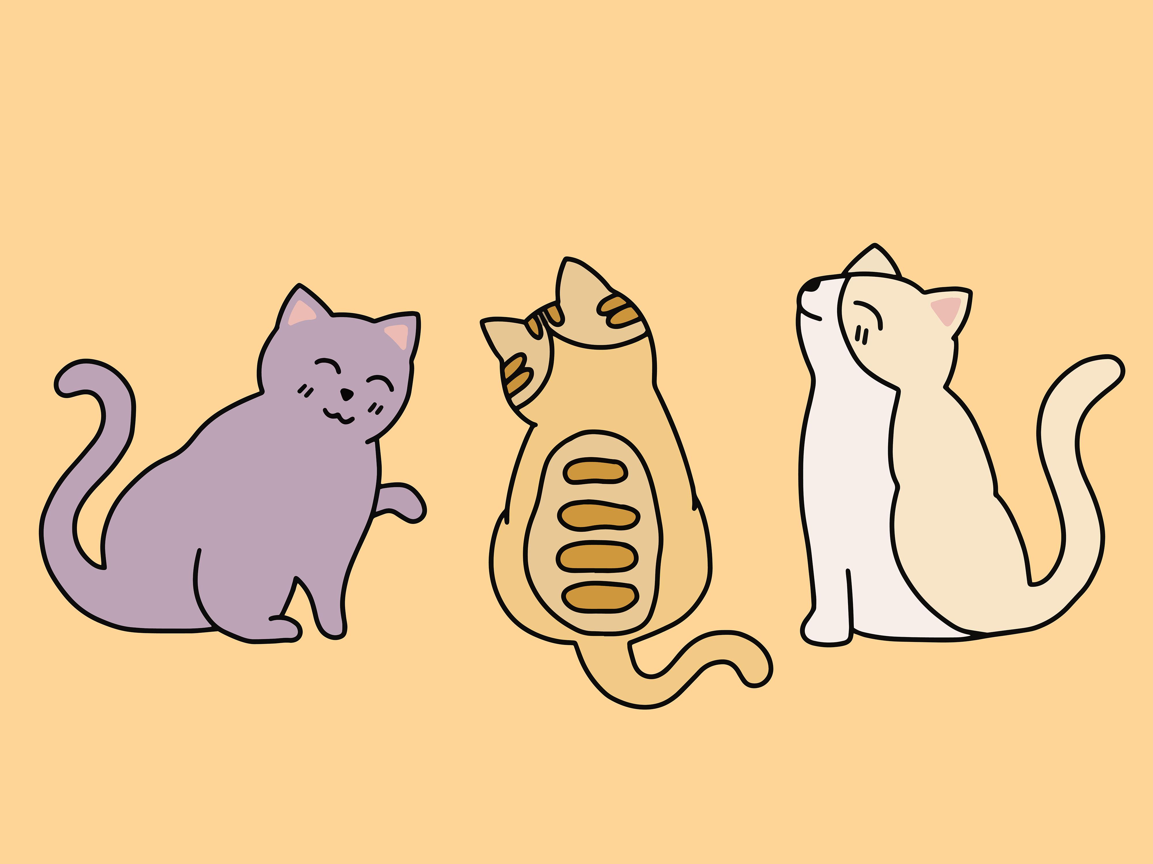 Set Cute Animal Cat Kitten Love Cartoon