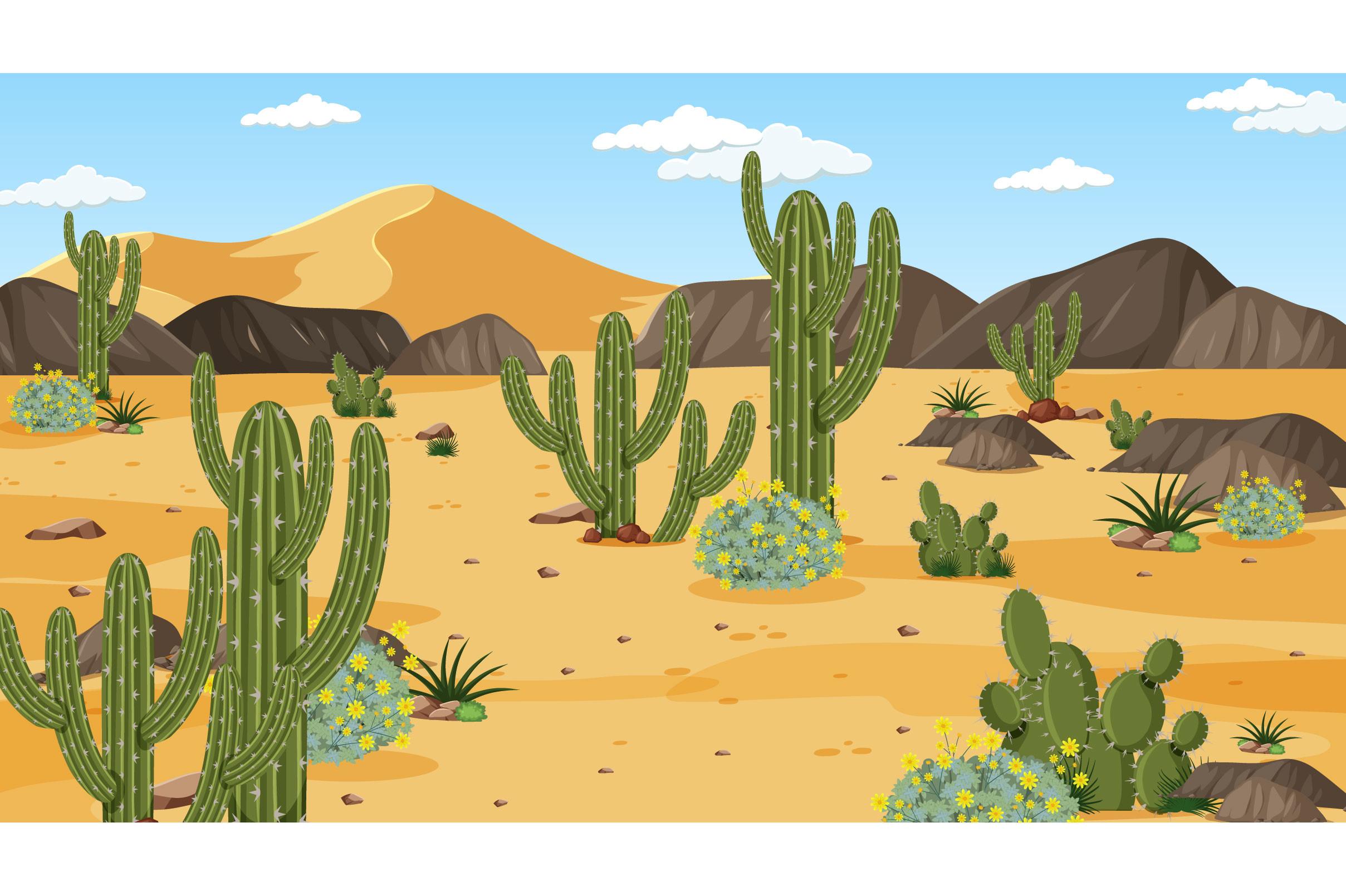 Desert-forest-landscape-daytime-scene