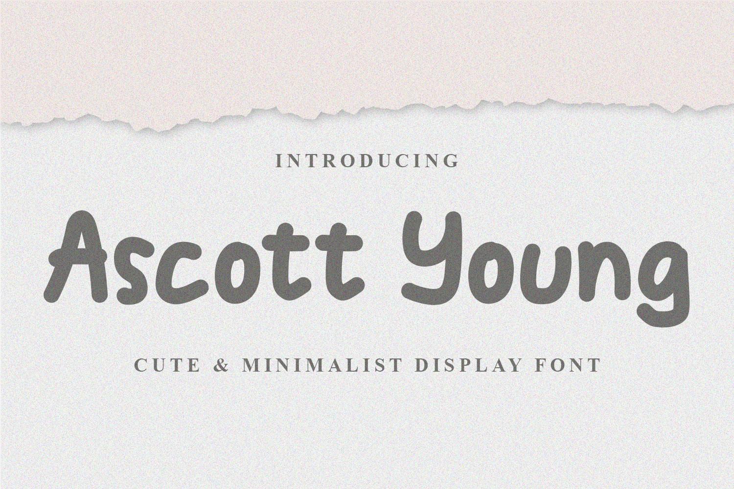 Ascott Young Font