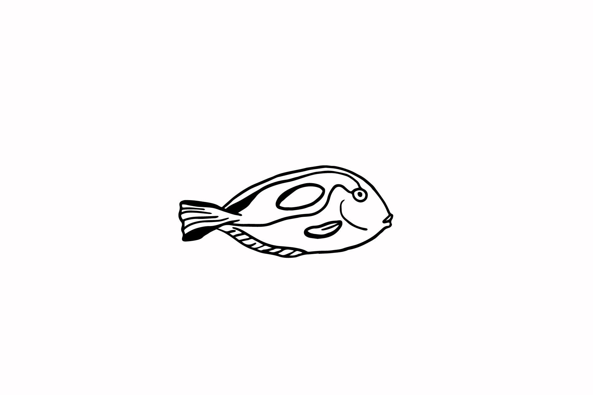 Fish Illustration