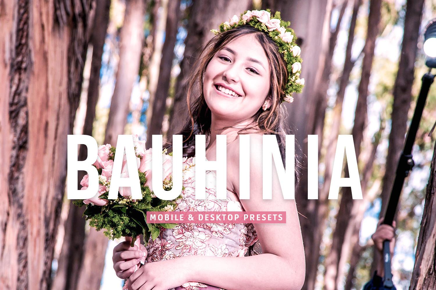 Bauhinia Pro Lightroom Presets