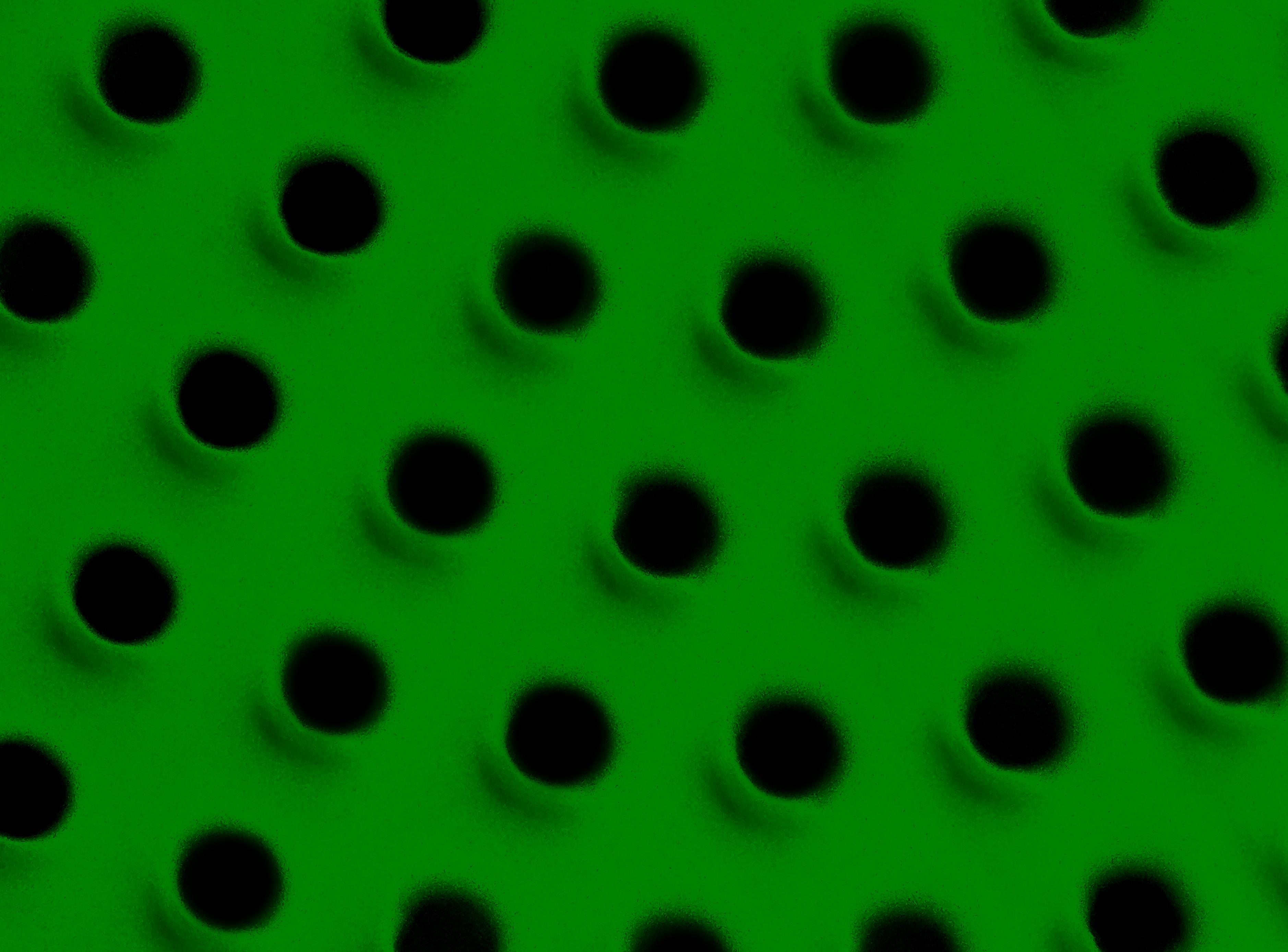 Green Hole Texture Pattern Backdrop