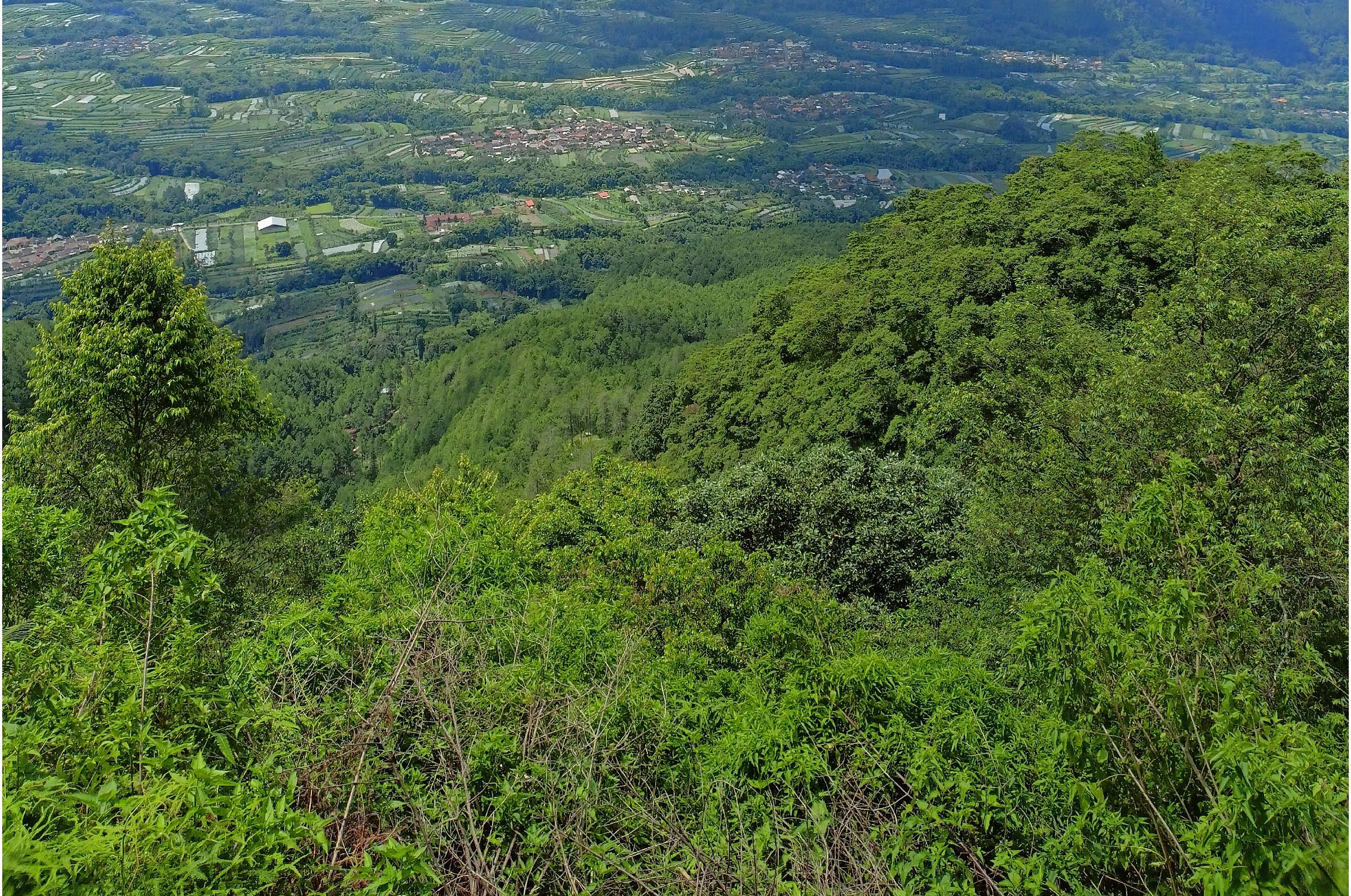 Landscape Photo