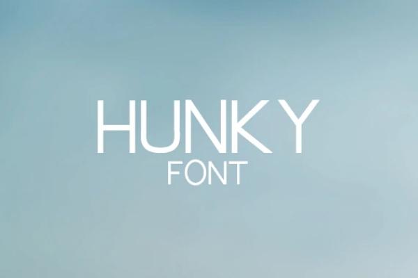 Hunky Font