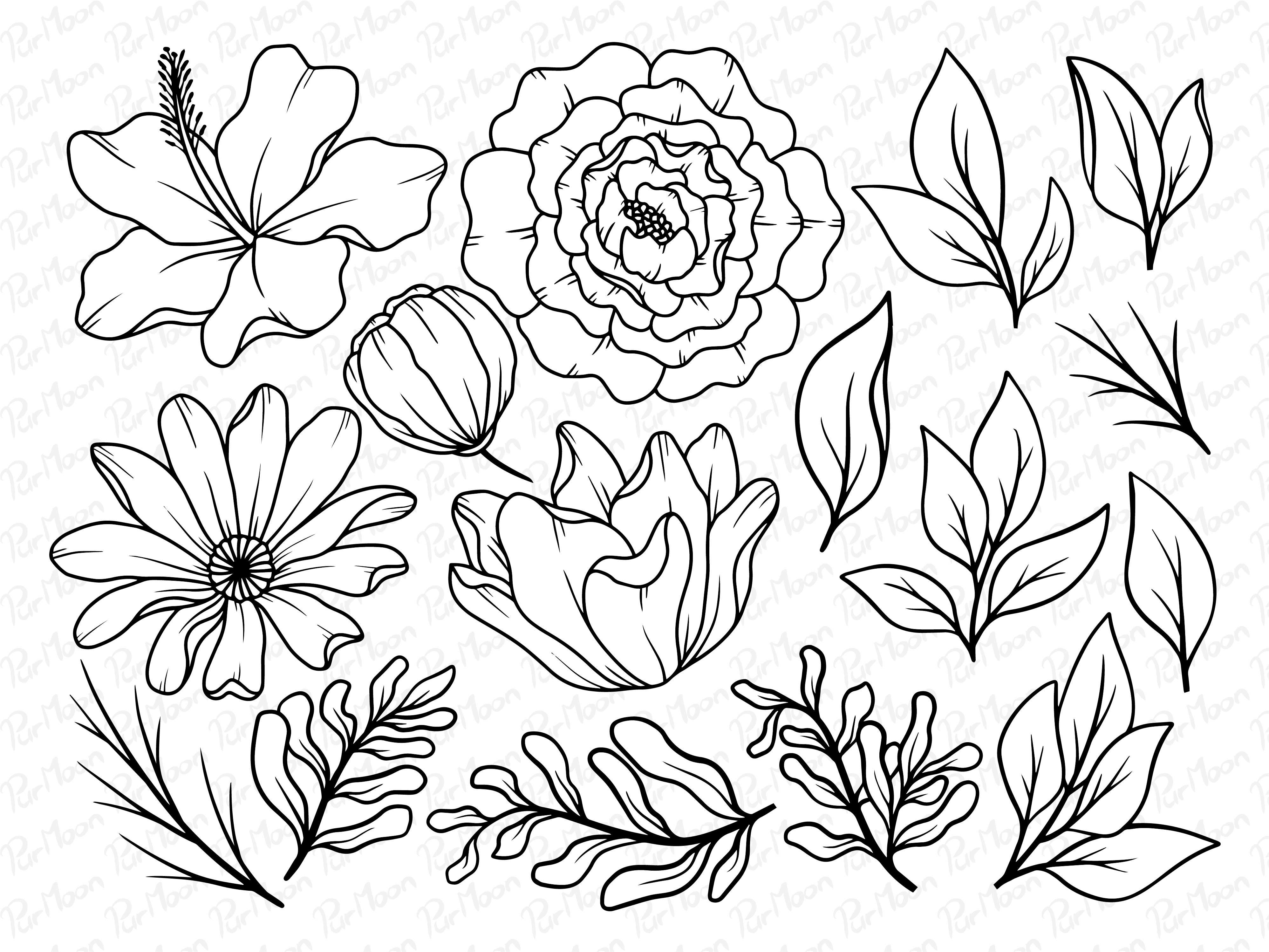 Flowers Line Art