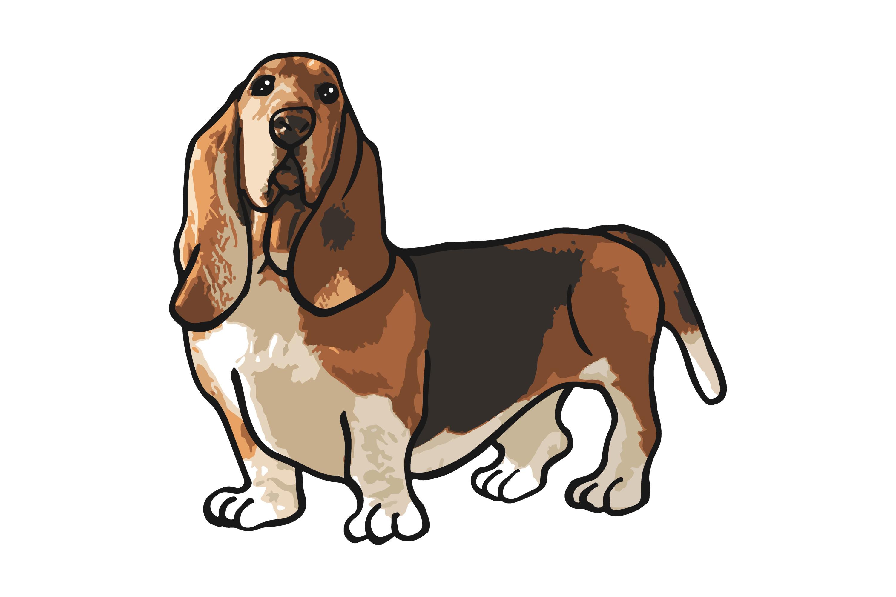 Basset Hound Dog Calm Stand Sticker