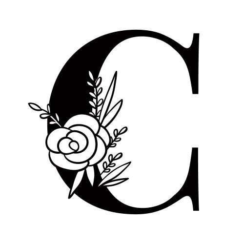 ChatoyArtCo