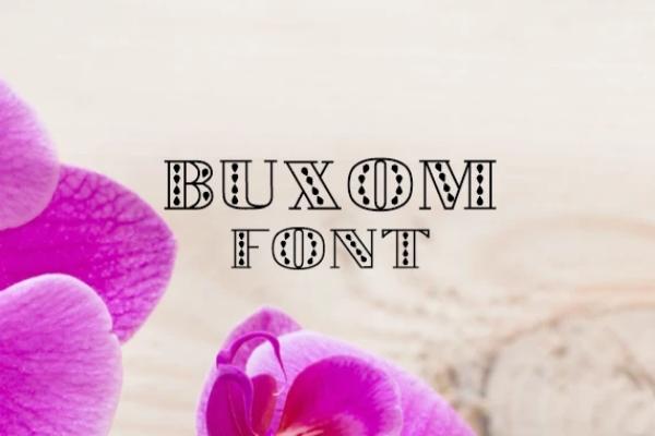 Buxom Font