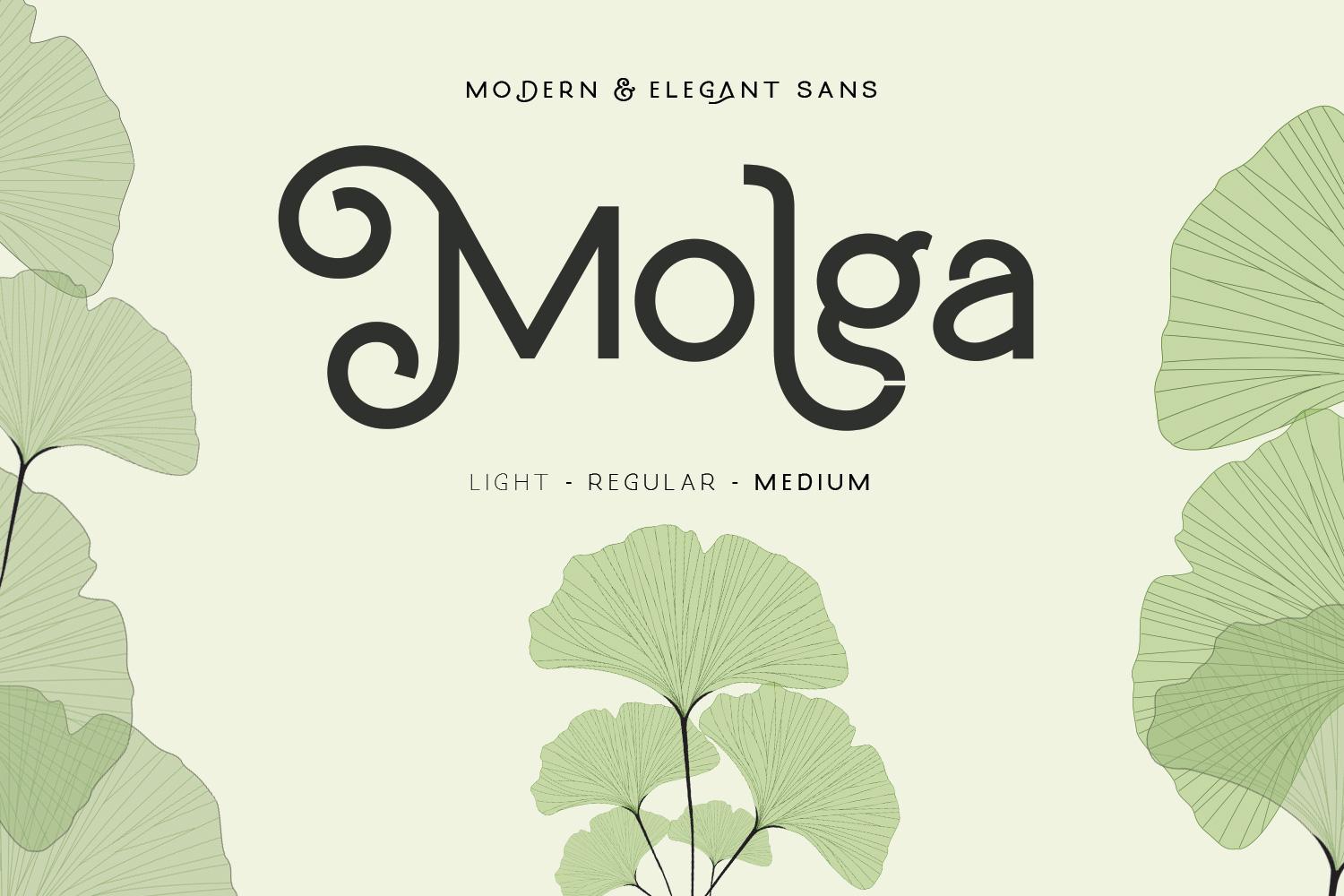 Molga Font
