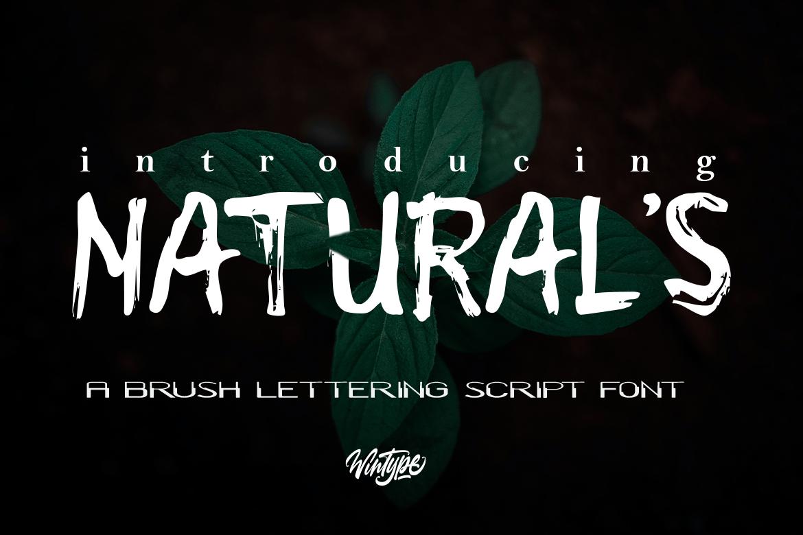 Natural's Font