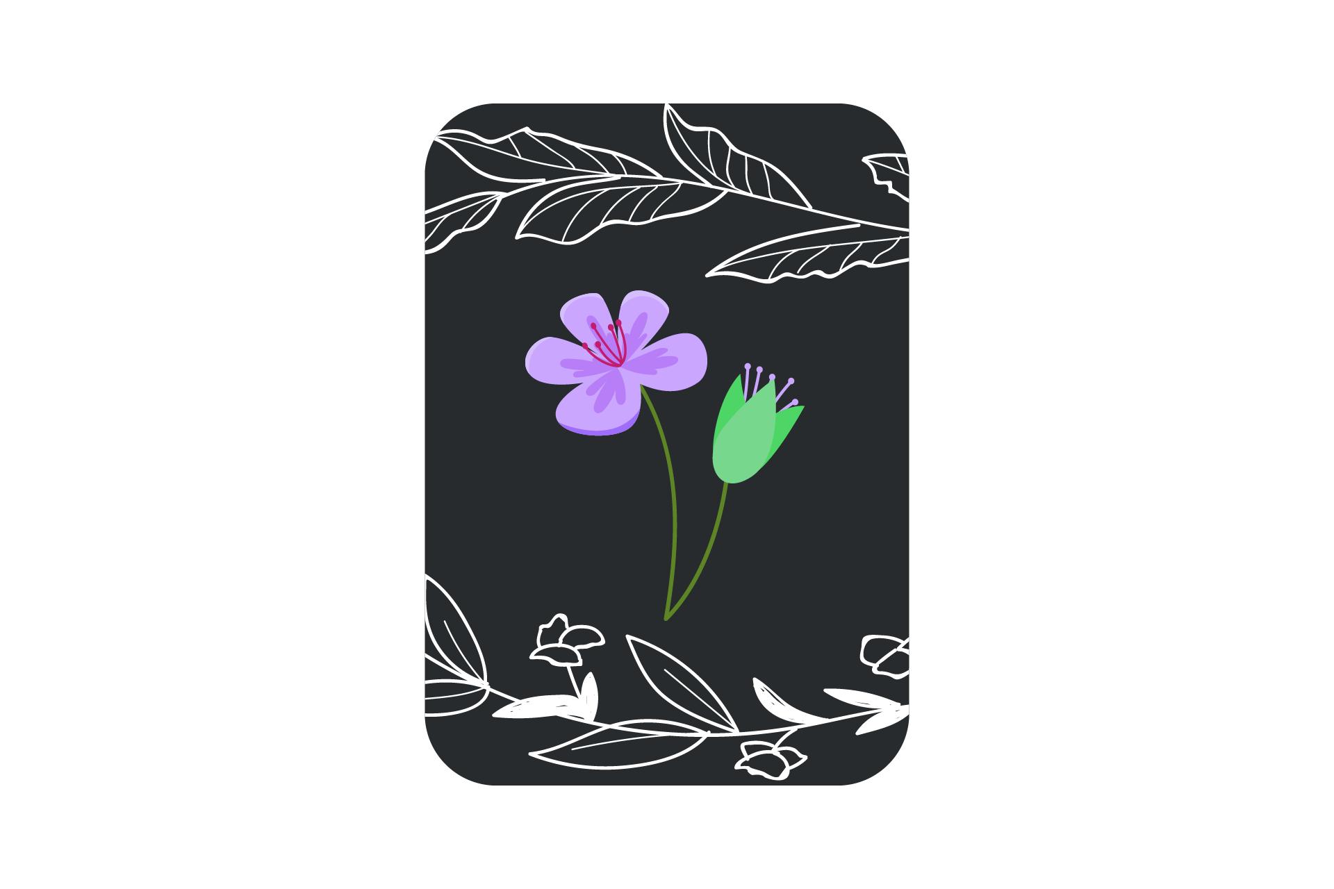 Card Flower Spring Nature