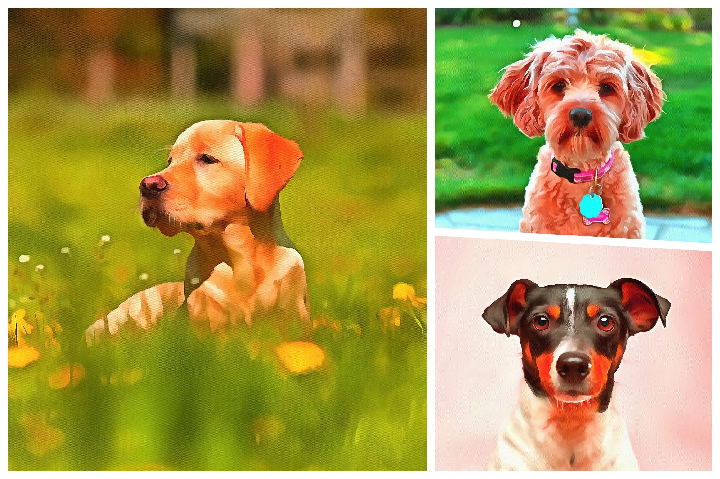 Dog Watercolor Background