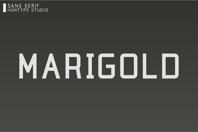 Marigold Font
