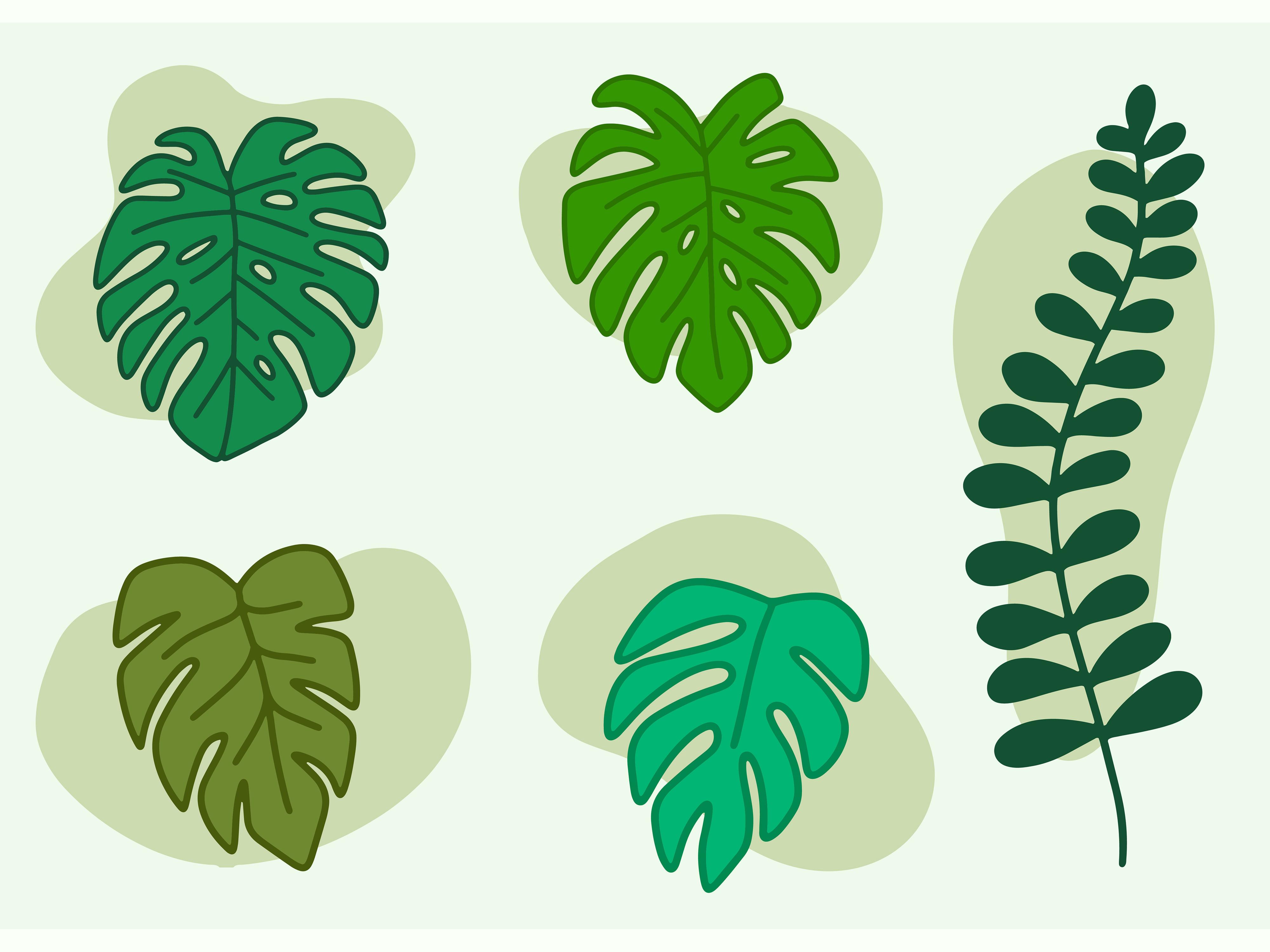 Set Leaf Tree Plant Nature Botanical