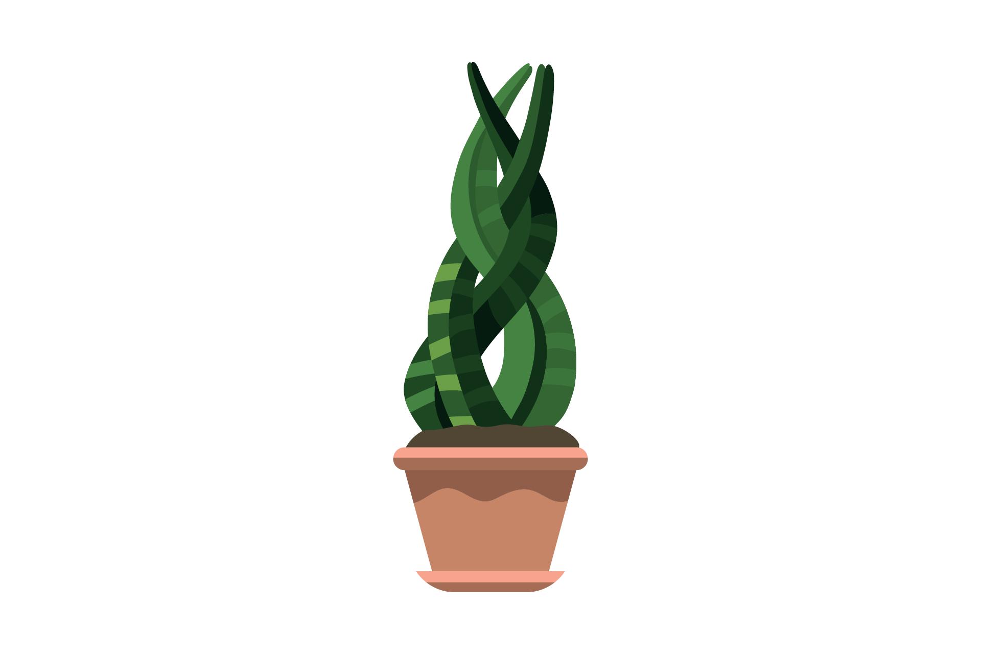Plant Leaf Jungle