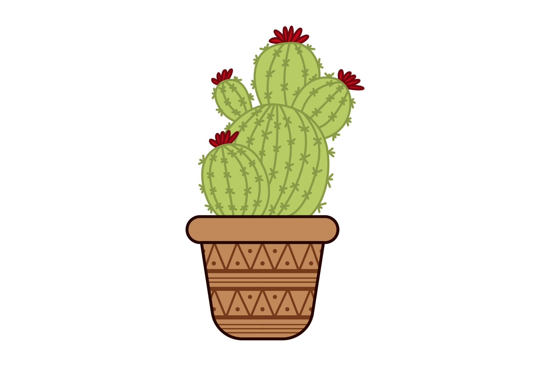 Plant ?
