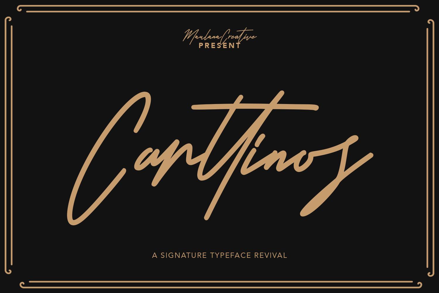 Carttinos Font