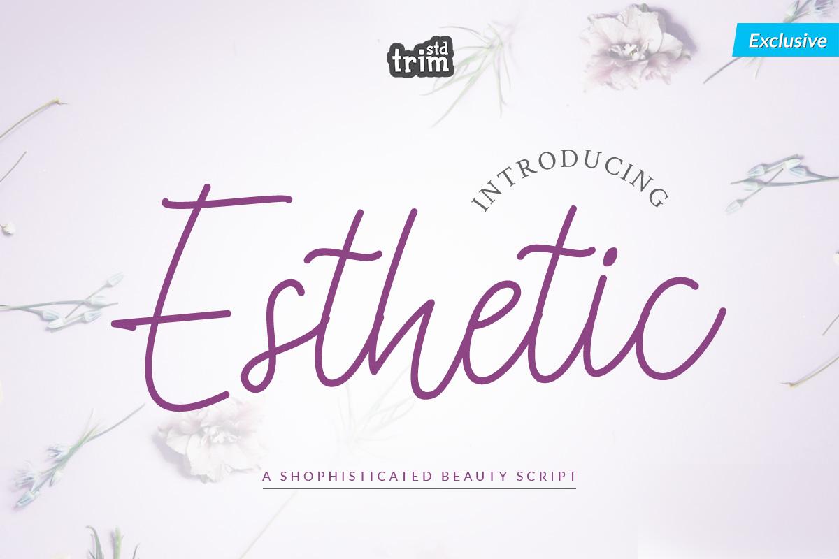 Esthetic Font