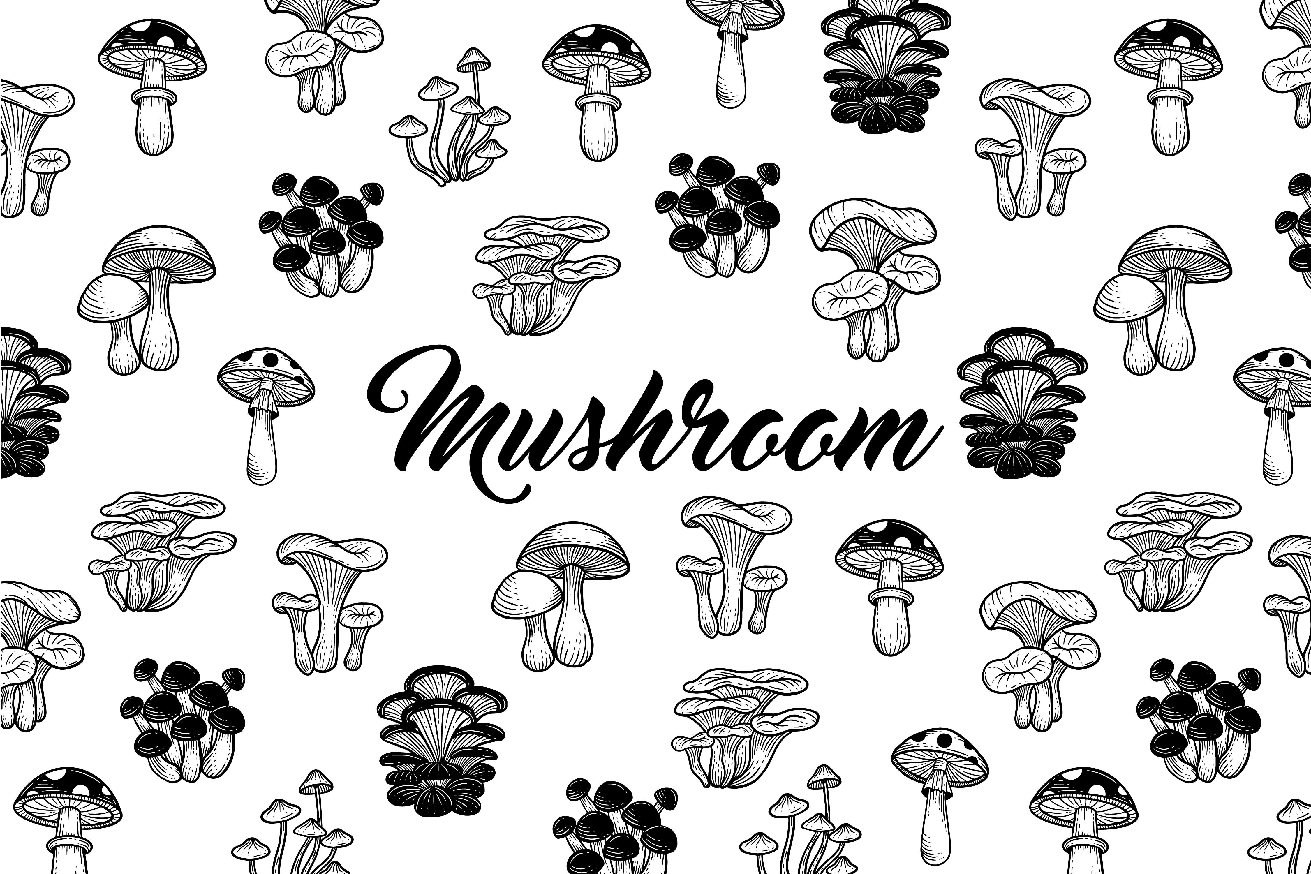 Set Mushroom Healthy Food Engraved