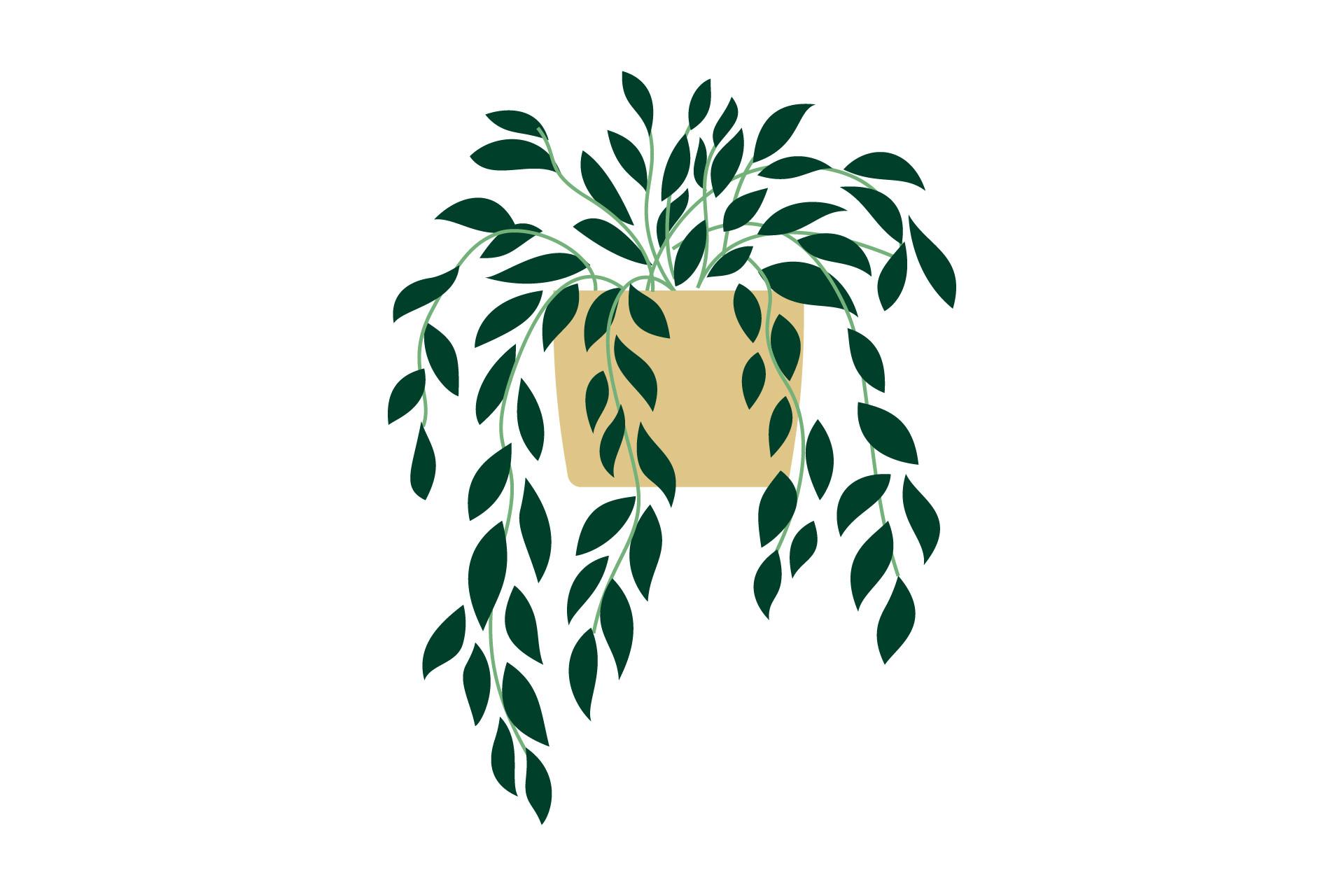 Plant Botany Exotic