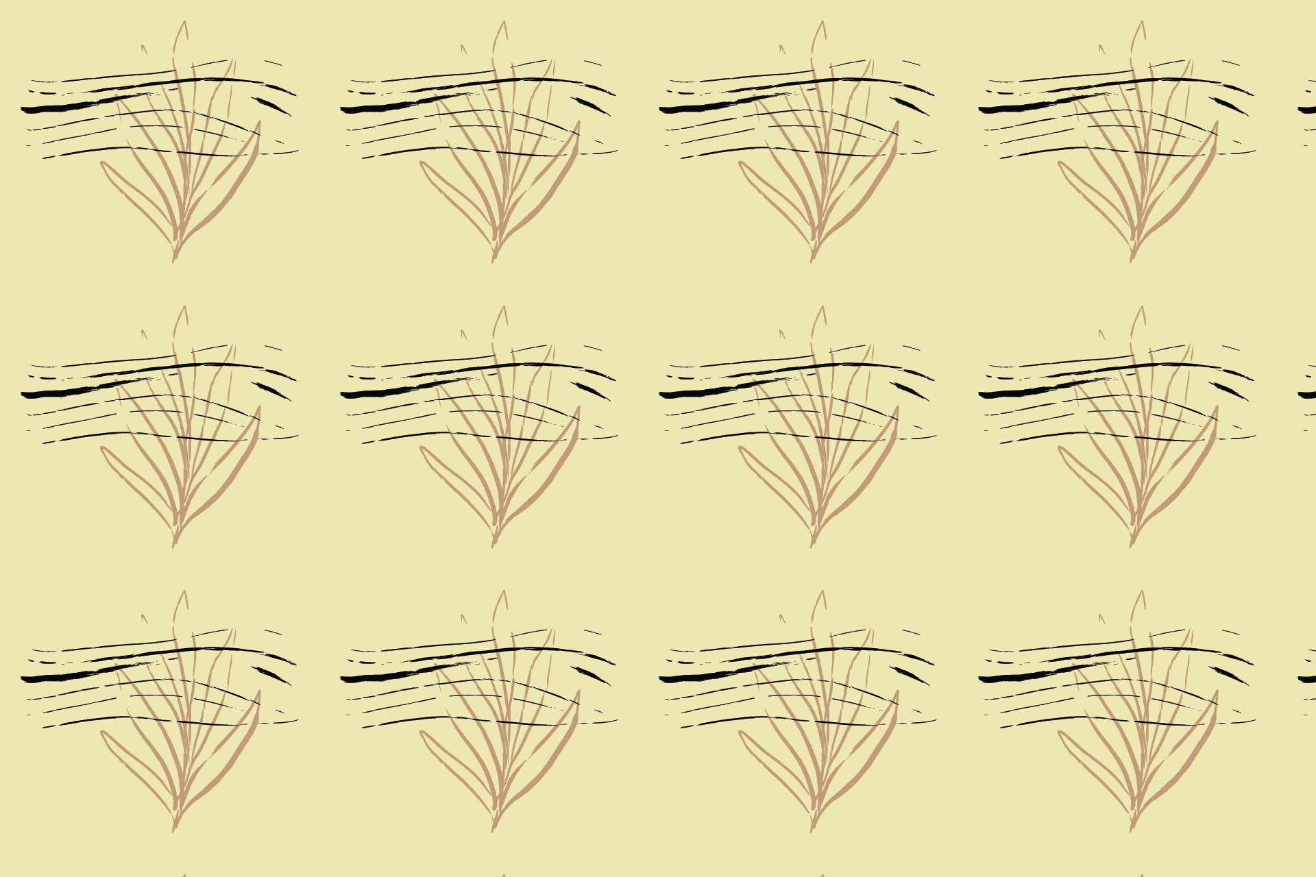 Hand Draw Pattern Art