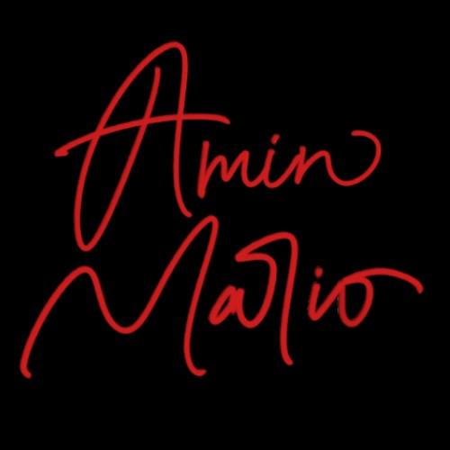 aminmariostudio