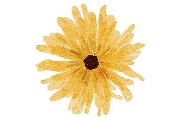 Watercolor Yellow Petal Flower Element