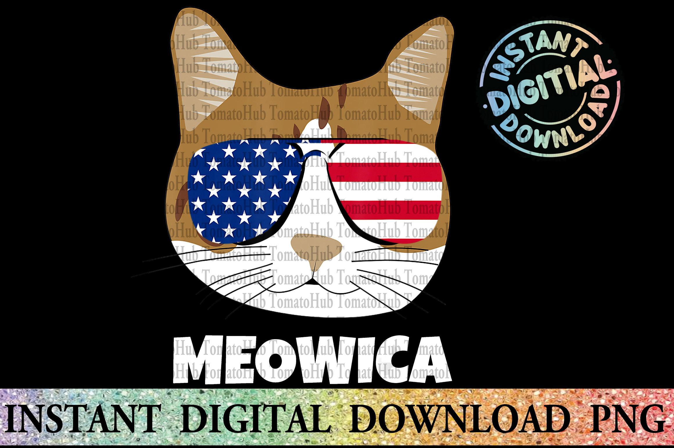 Funny Cat American Meow 4rth of July PNG
