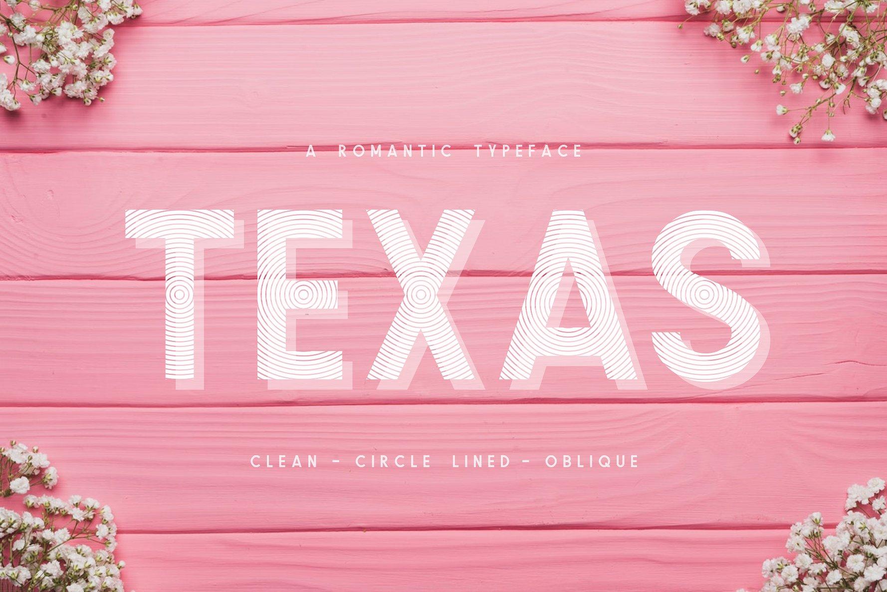 Texas | a Romantic Typeface Font