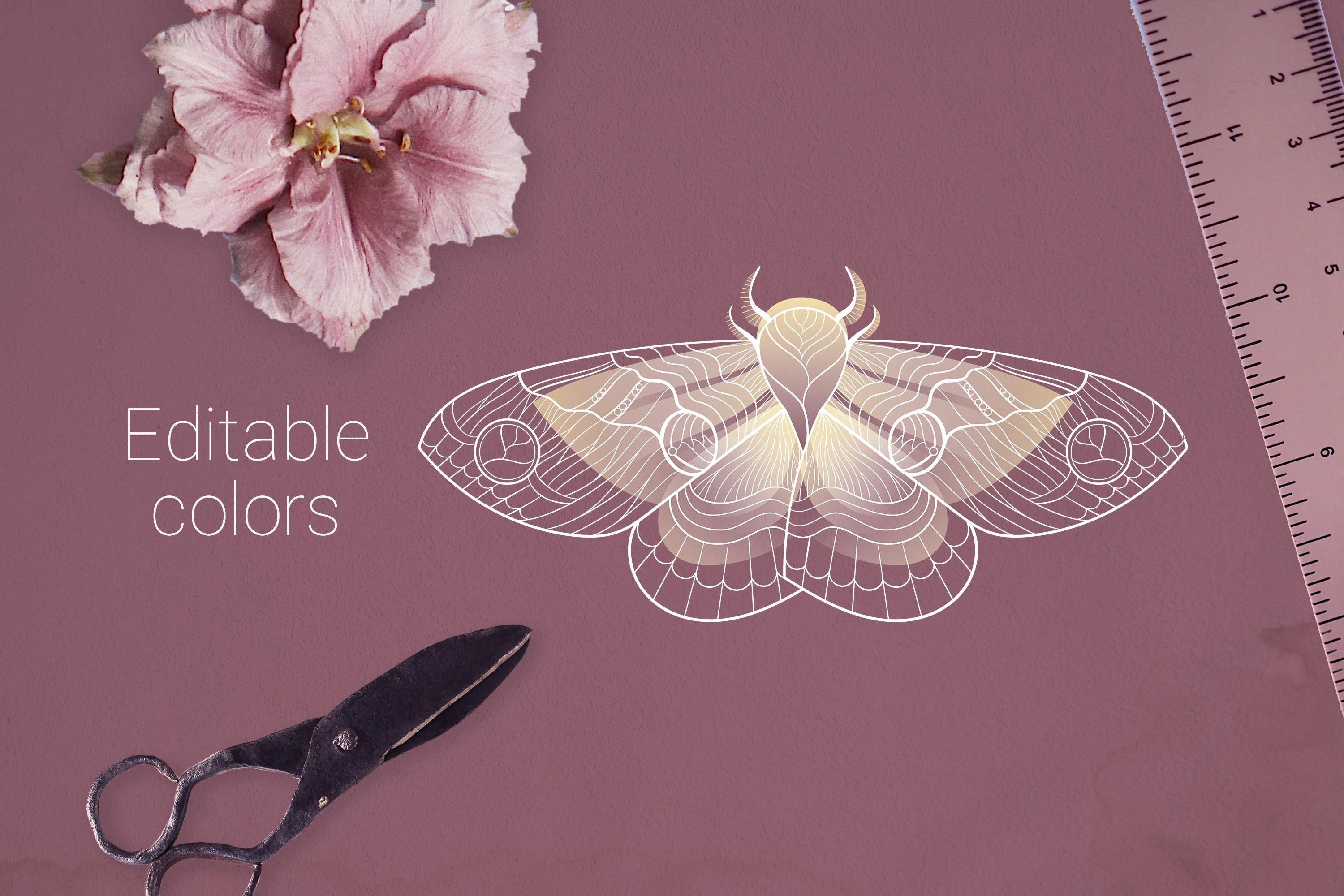 Wedding Butterfly Vector Element