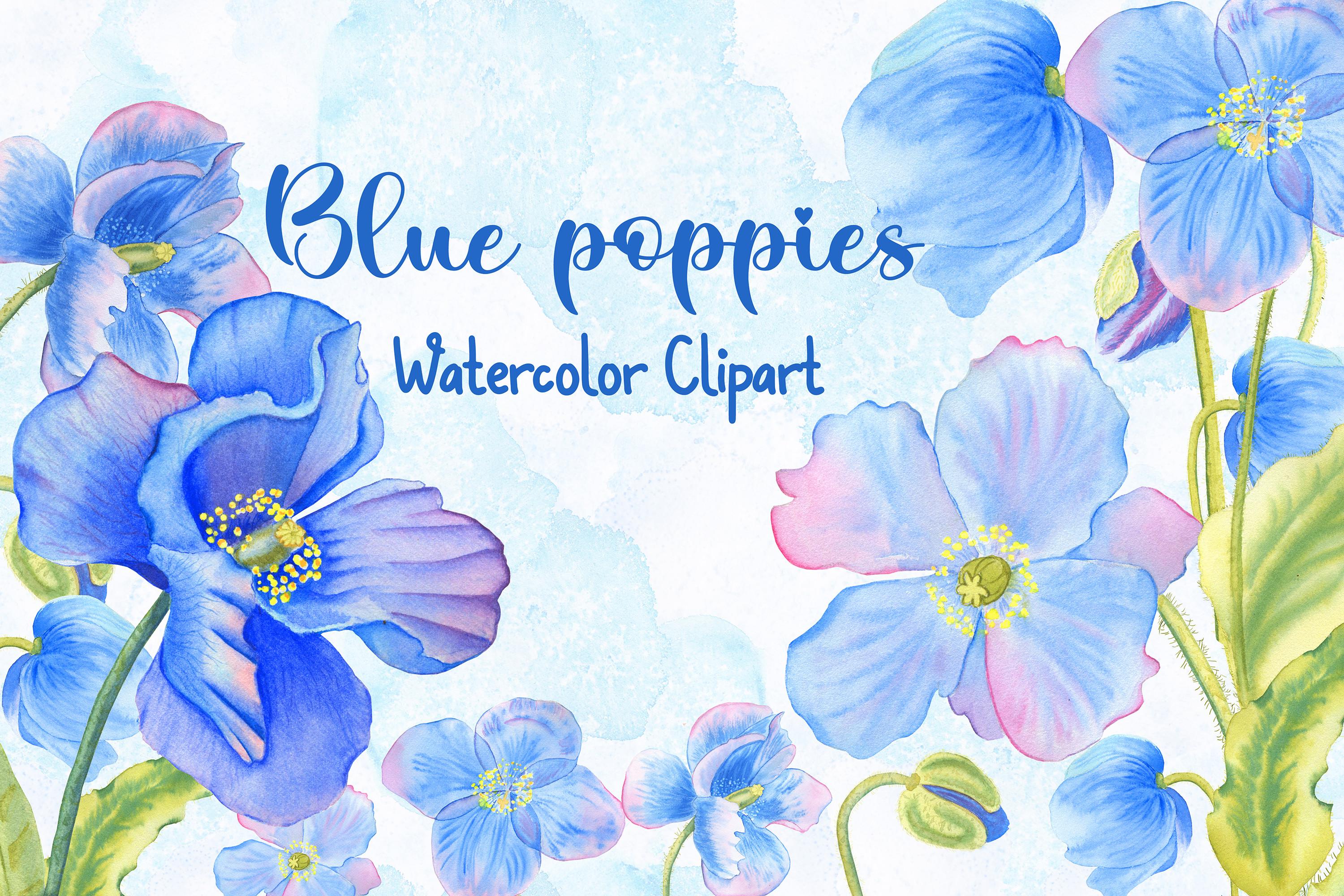 Blue Poppies Flower Watercolor Clipart