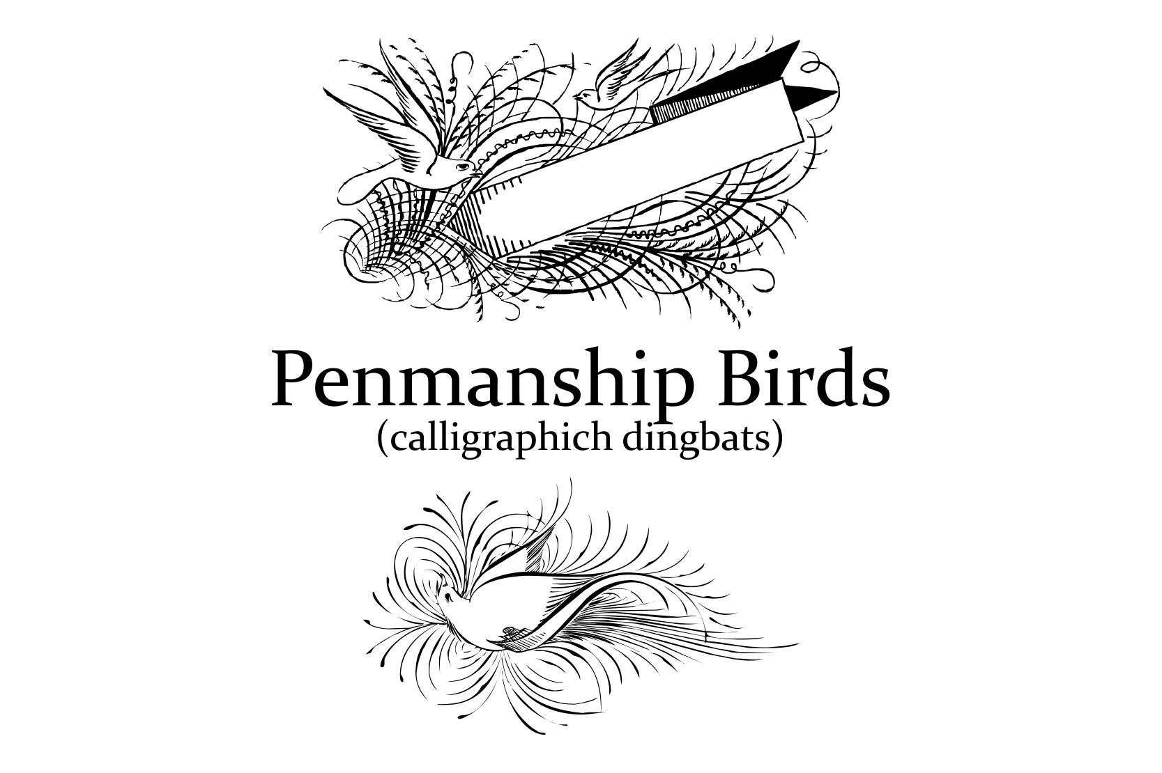 Penmanship Birds Font