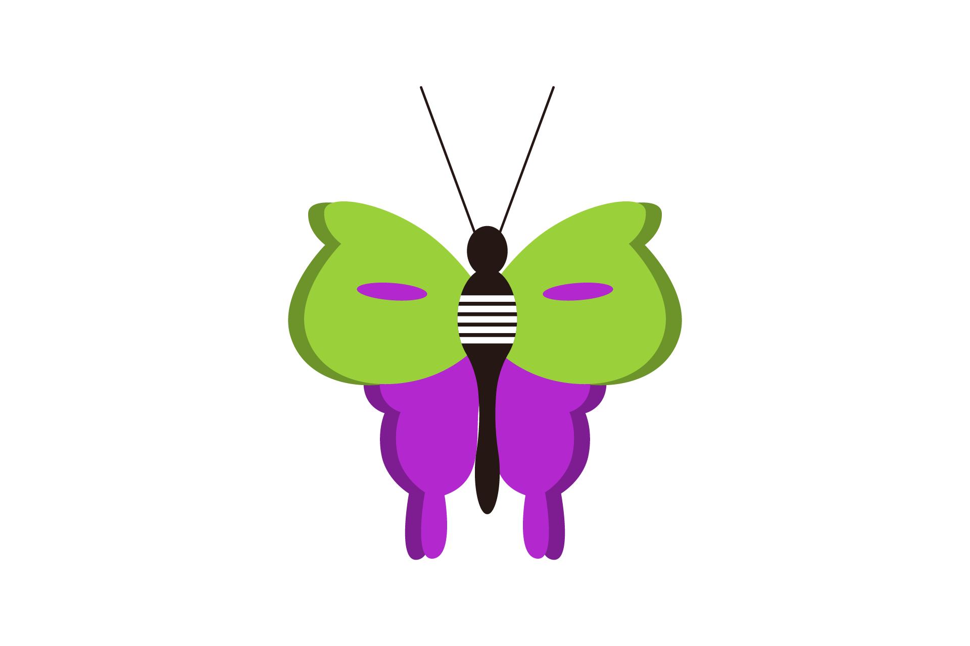 Summer Butterfly Nature