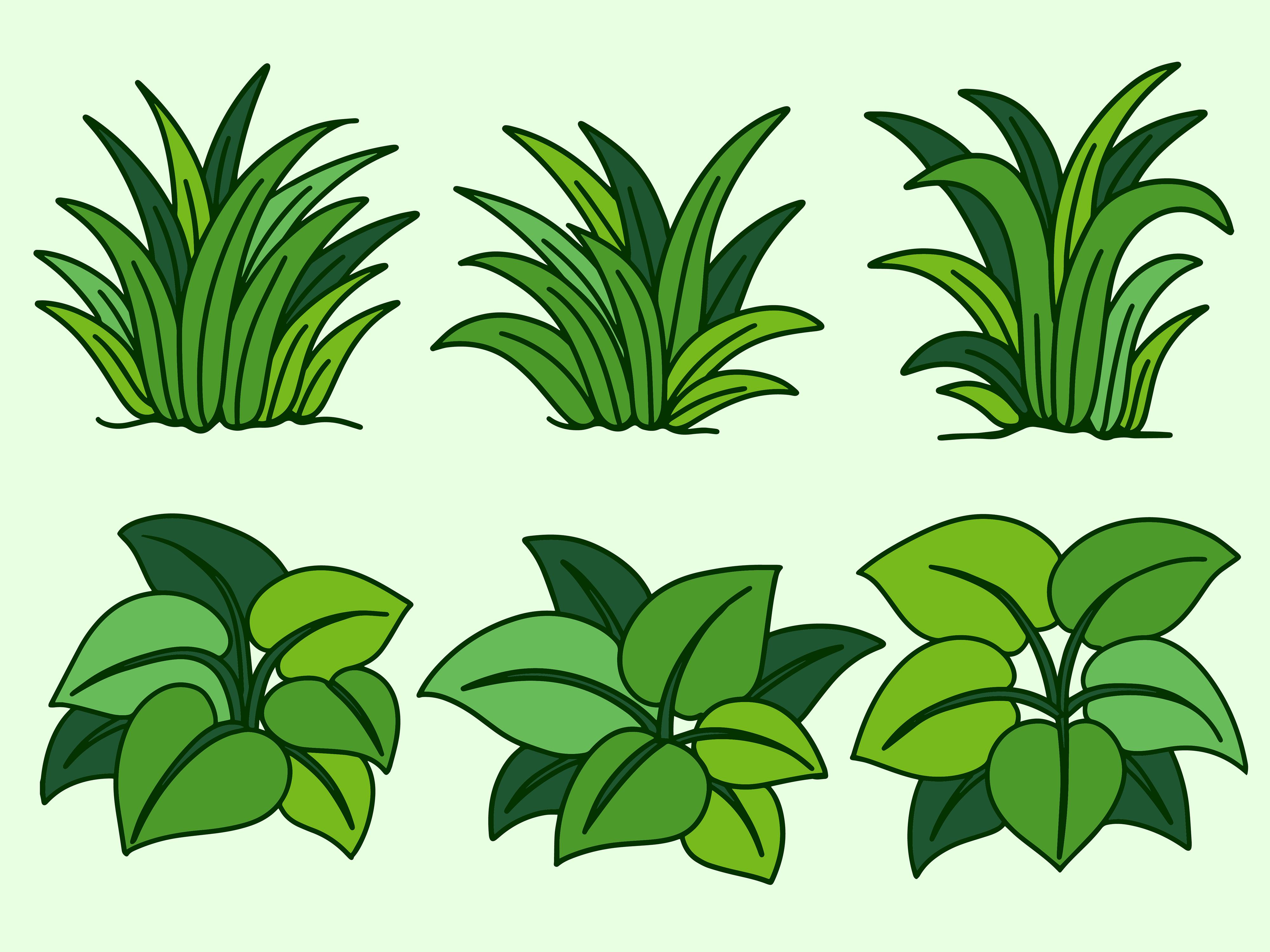 Set Leaf Tree Plant Nature Botanical