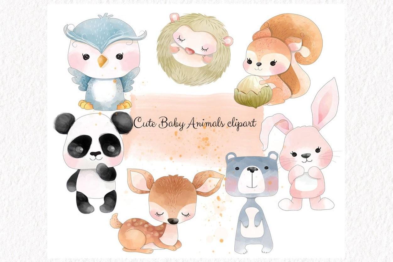 Baby Animals, Woodland Clipart