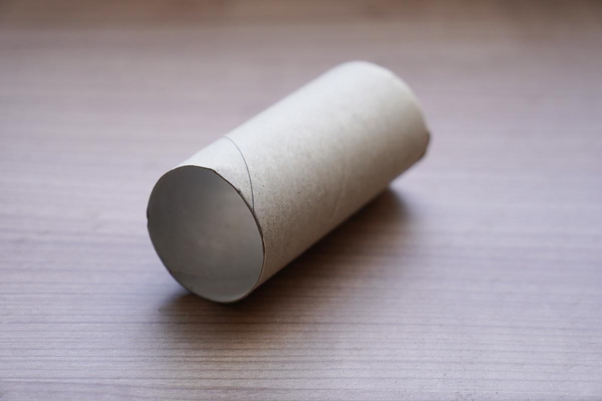 Empty Toilet Roll - No Toilet Paper Left