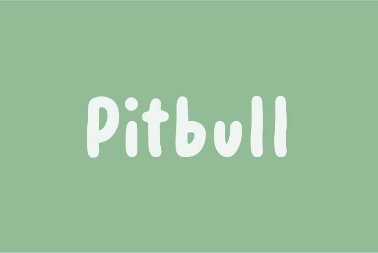 Pitbull Font