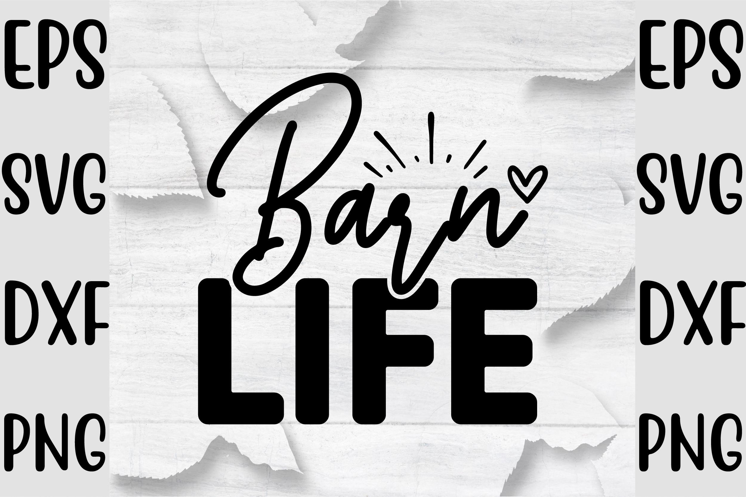 Barn Life