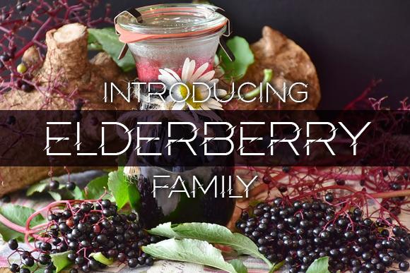 Elderberry Font