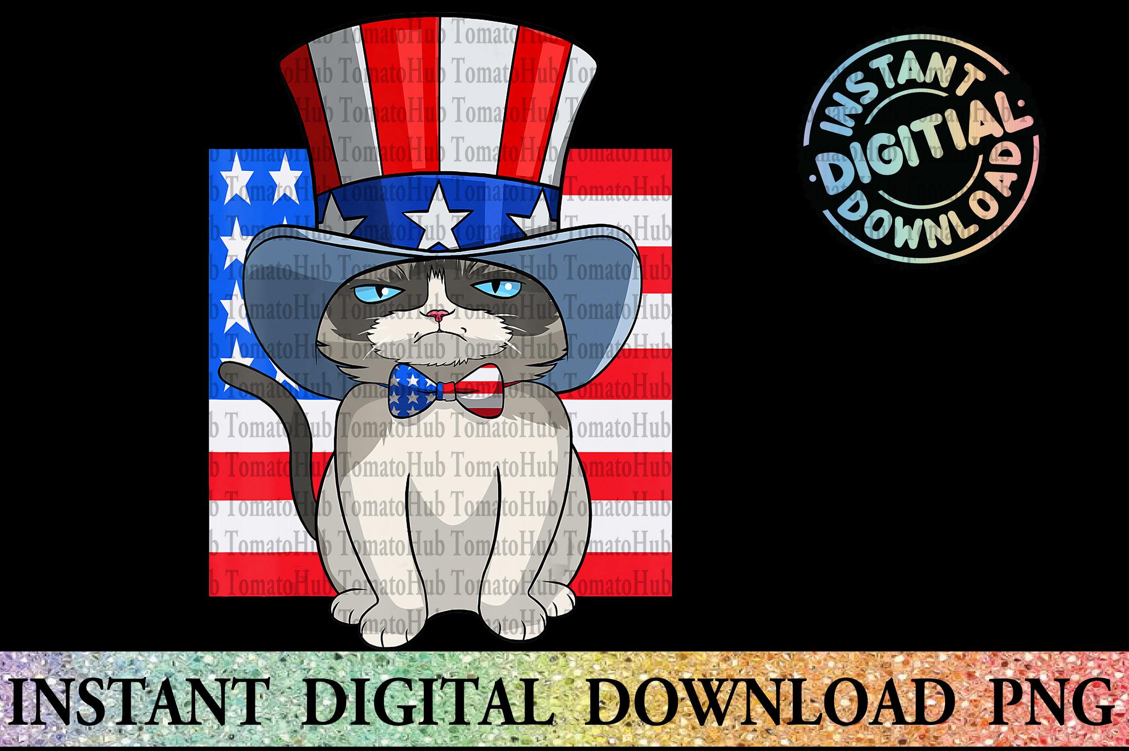 Cat 4th of July Meowica Merica Men  PNG
