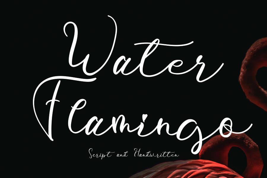 Water Flamingo Font