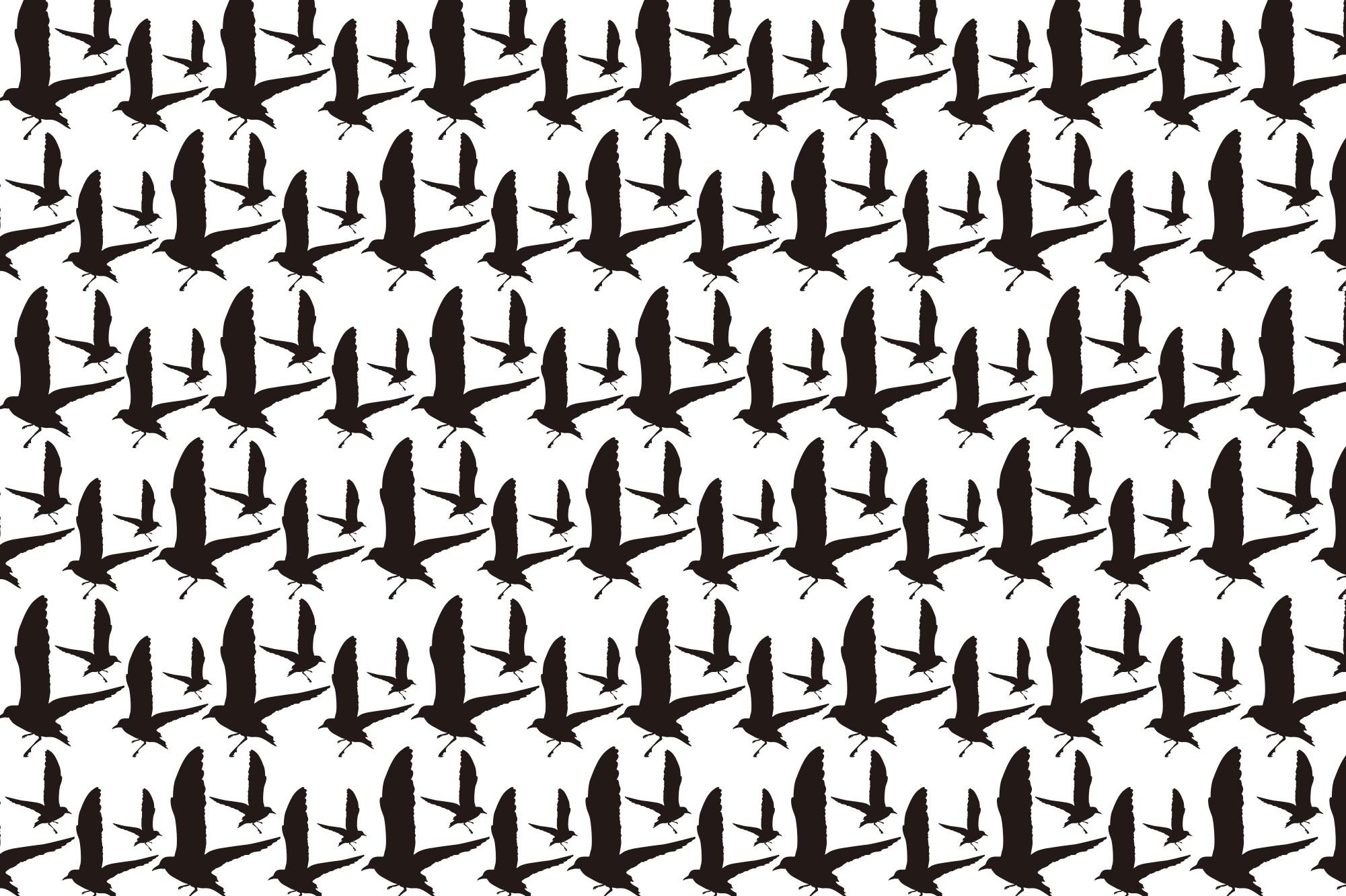Bird Silhouette Pattern